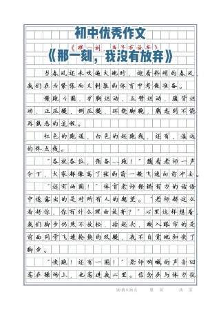 作文《我没有放弃》