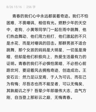 少年的天空作文600字