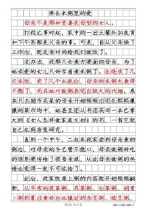 作文那些年什么相伴