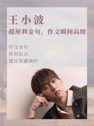 王小波 作文素材