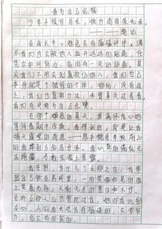 关于点赞作文的题目