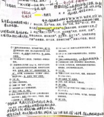 雨中登泰山是几年级的课文？