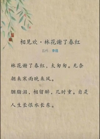 相见欢古诗里藏着怎样的相见与欢愁？