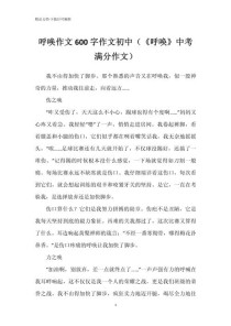 中考满分作文600字如何炼成？
