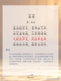 四首古诗春望泊秦淮，如何赏析其情感与意境？