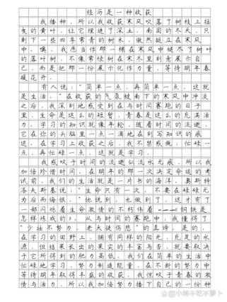 中考作文经历，藏着怎样的成长密码？