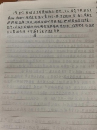 2025河北中考 作文