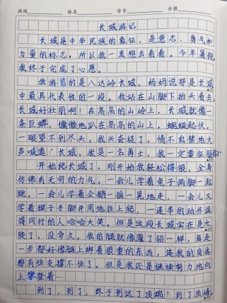 旅行该带什么？作文里藏着怎样的答案？