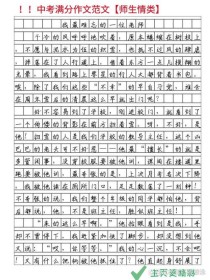 中考作文范文如何借鉴？