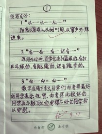 从什么到什么的作文