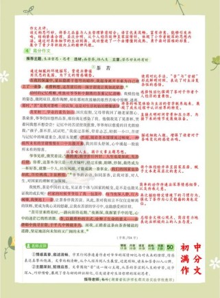 中考满分作文有何秘诀？名师点评点透哪些关键？