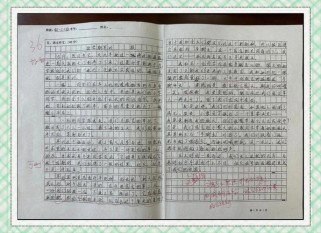 我上初一了的作文