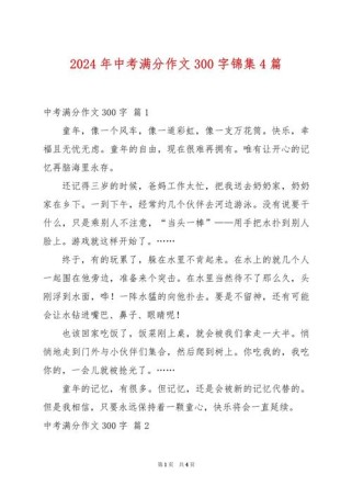 中考优秀作文300字