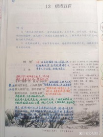 八年级上册语文13课讲了什么？