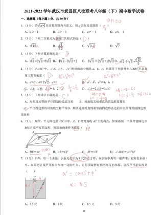 武汉市七年级期中考试范围有哪些？