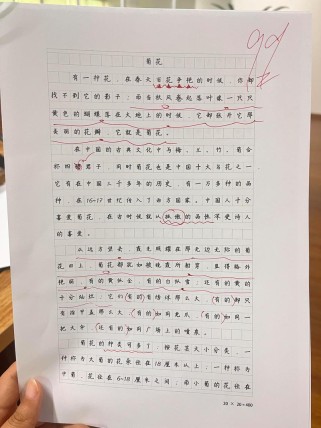 菊花作文如何写出独特韵味？