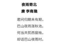 夜雨寄北常考考点有哪些？