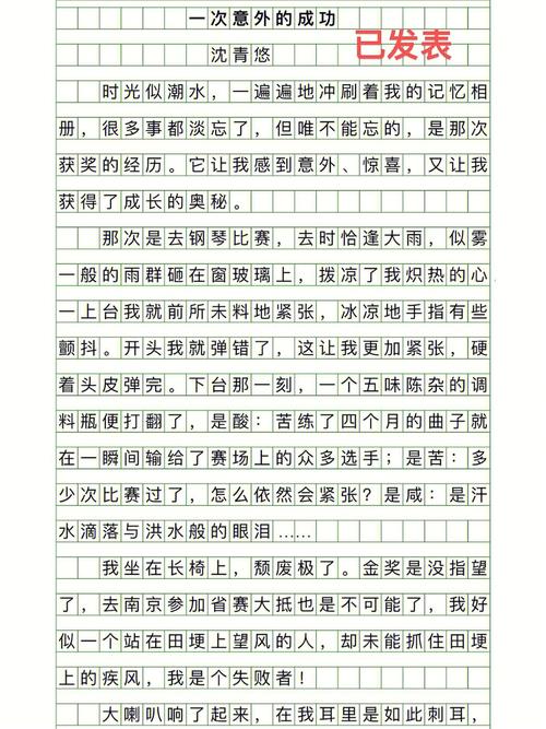 意外的成功作文600字