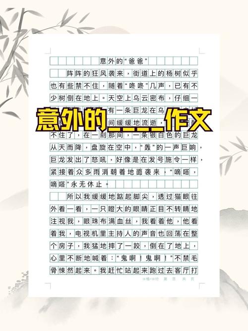 意外的成功作文600字