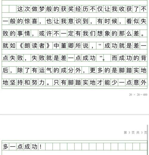 意外的成功作文600字