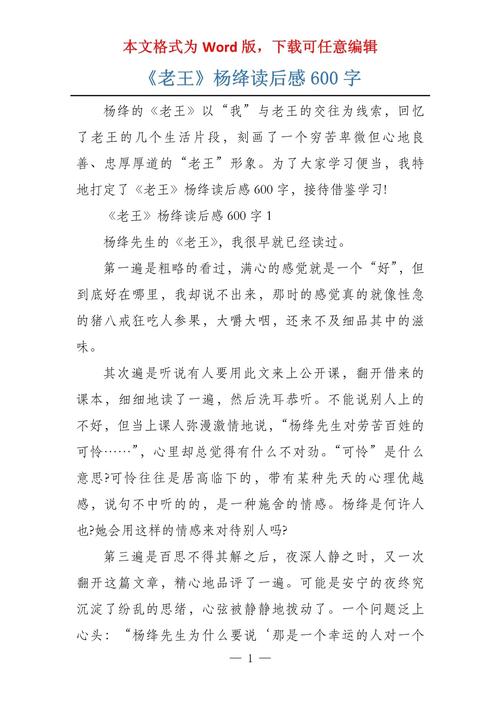 我与老王600字作文