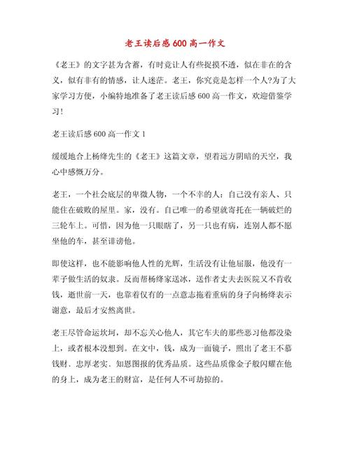 我与老王600字作文