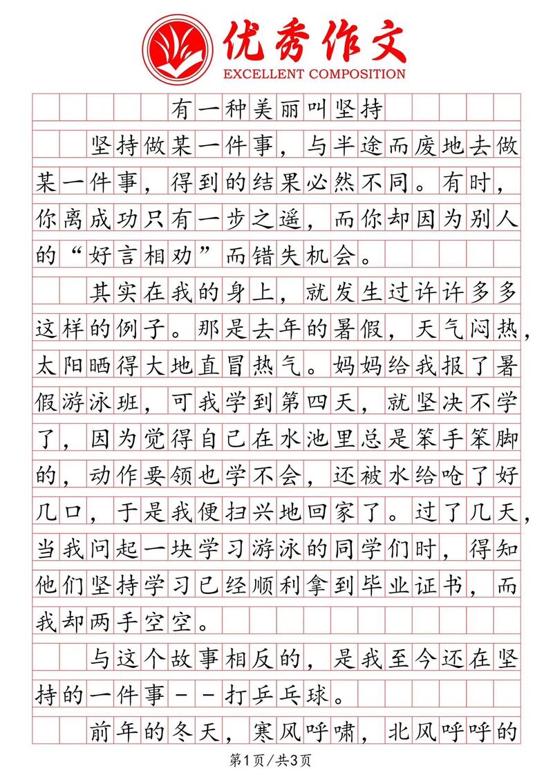 坚持是美的作文600字