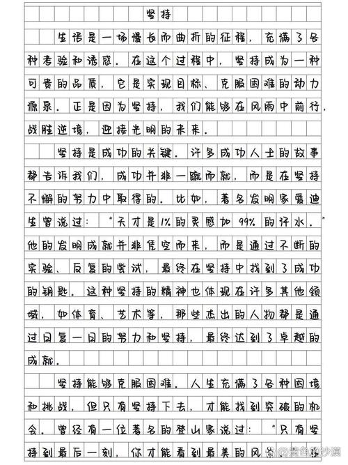坚持是美的作文600字