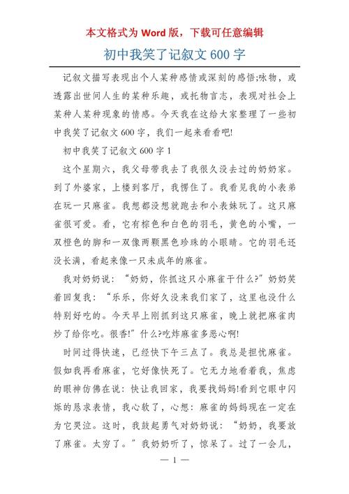 作文那次我笑了600字