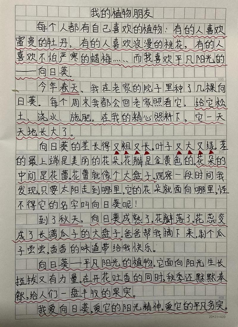 小学生三年级作文有哪些