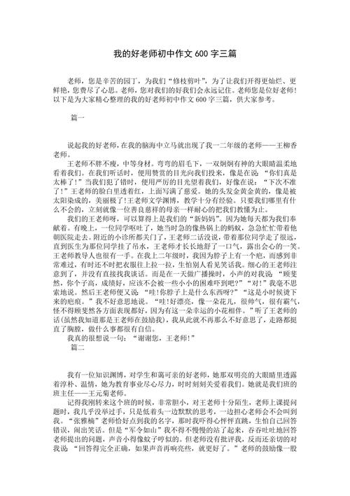 初中的新老师600字