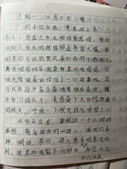 三年级的游记作文有哪些