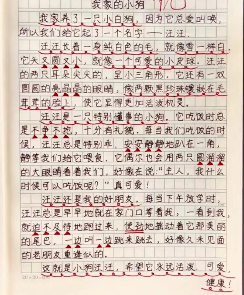 三年级常考的作文有哪些