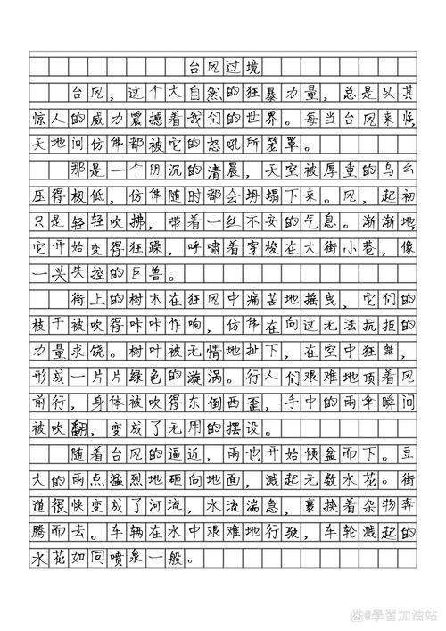 长风公园的作文600字