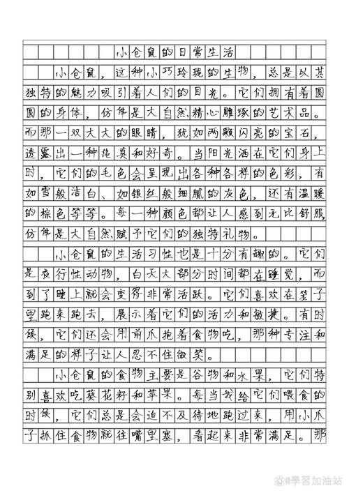 可爱的仓鼠作文600字