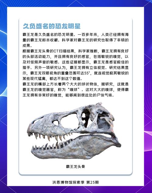 霸王龙三年级谜底有哪些