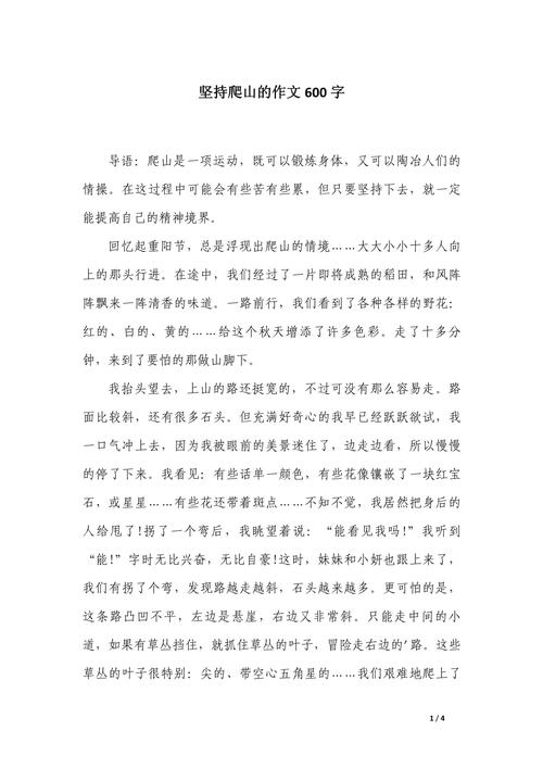 登山的感想作文600字