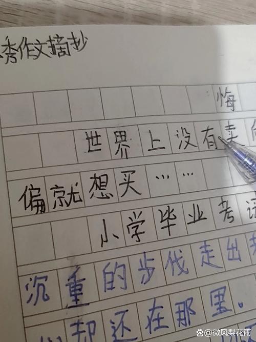 悔恨的泪作文600字
