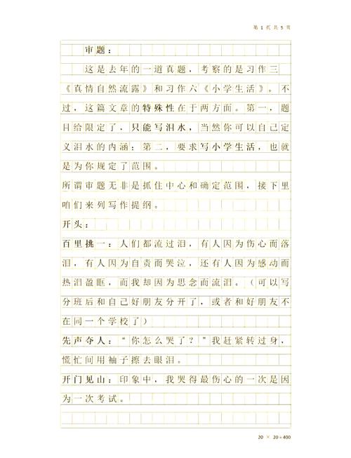悔恨的泪作文600字