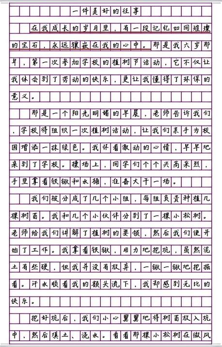 美好的经历作文600字