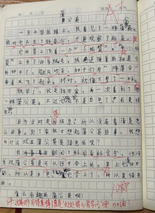 三年级常写的作文有哪些