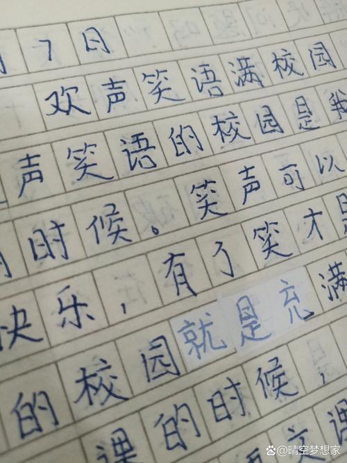 欢乐的笑声作文600字