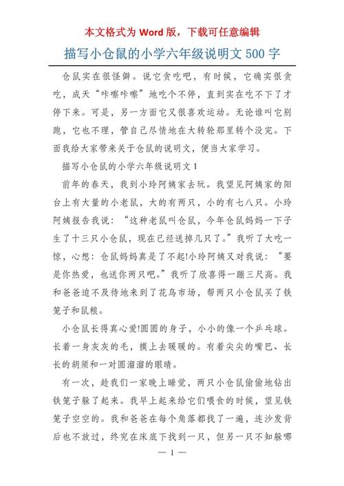 六年级说明文有哪些汇总