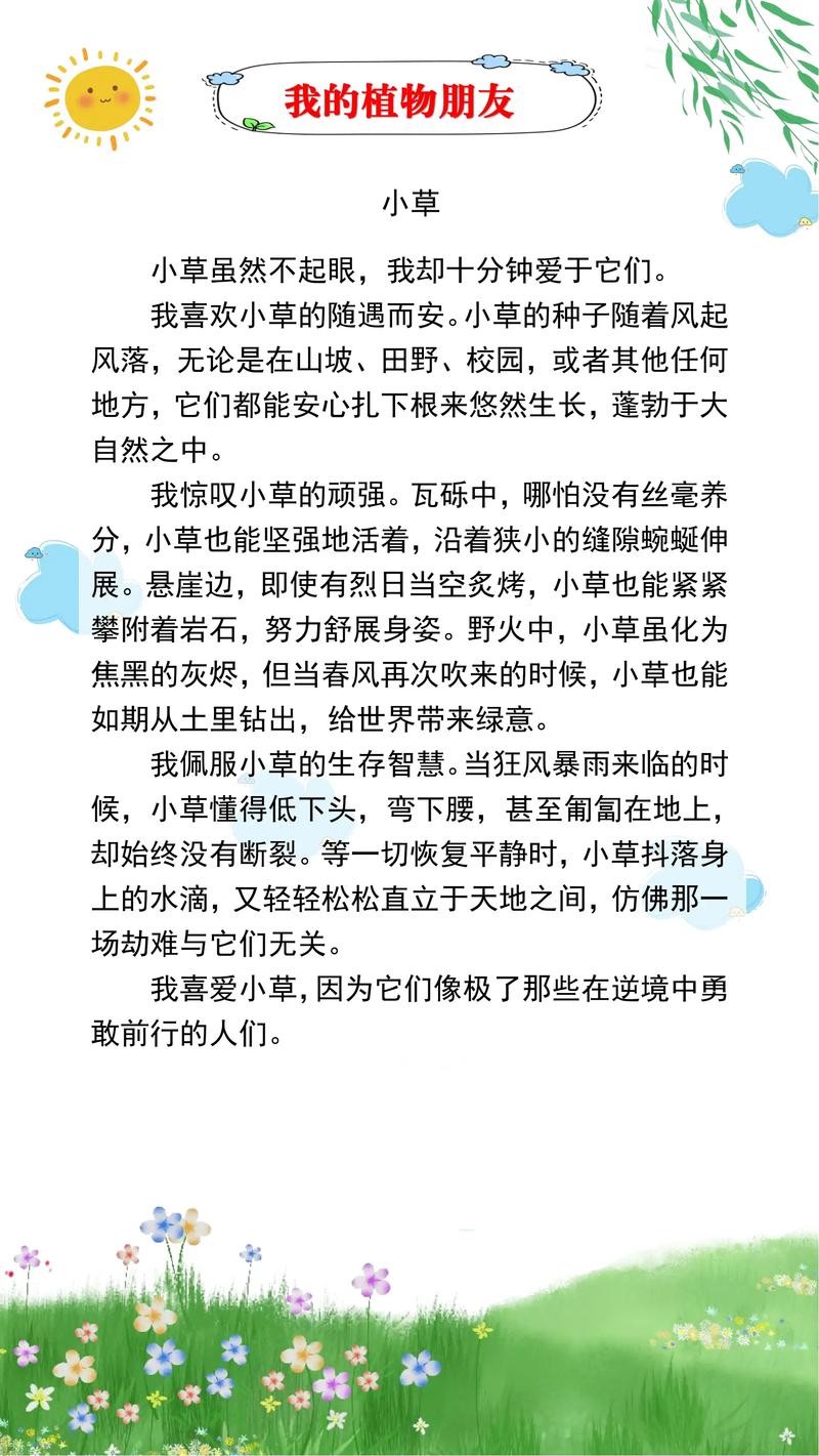 夏天小草的作文600字