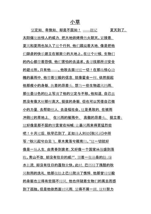 夏天小草的作文600字