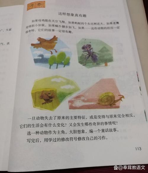 三年级的命题作文有哪些