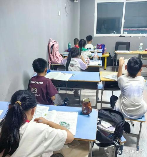 小学三年级上哪些辅导班