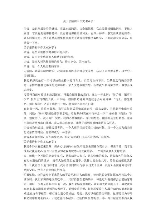 初二亲人作文600字