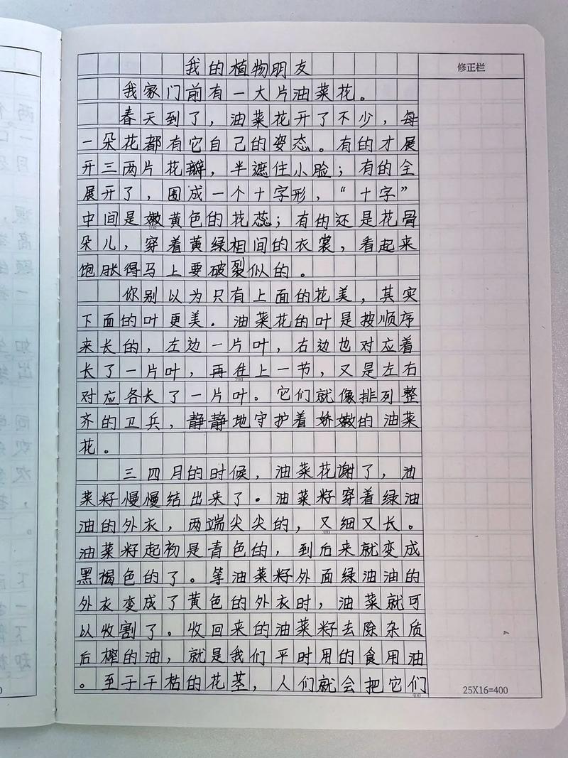 终于等到你600字作文