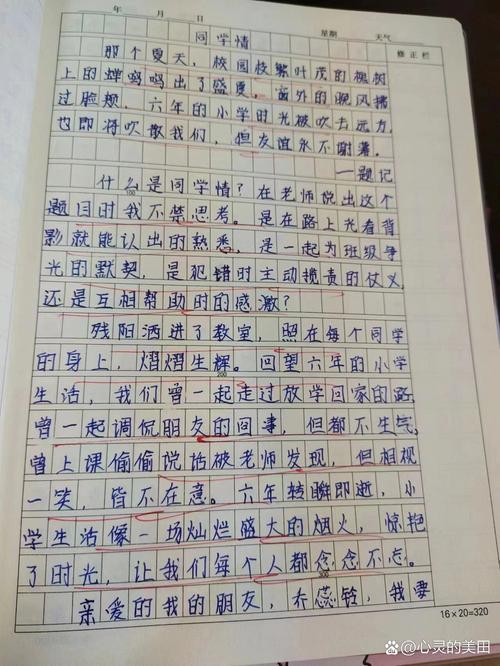 感恩同学的作文600字